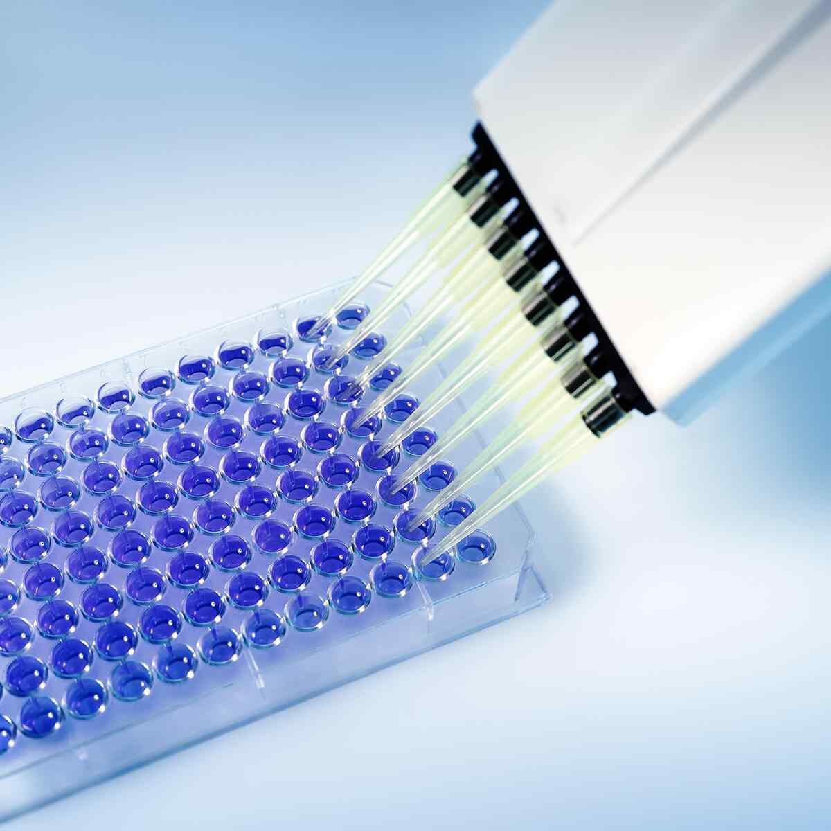 Análisis de muestras de agua en laboratorio